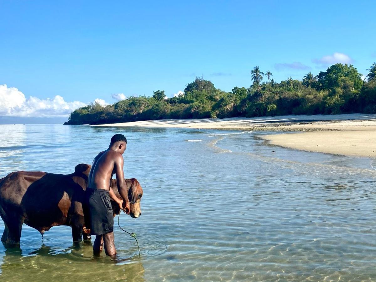 Kingstone Lodge Zanzibar Bet-el-Mali Buitenkant foto